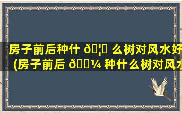 房子前后种什 🦍 么树对风水好(房子前后 🌼 种什么树对风水好些)